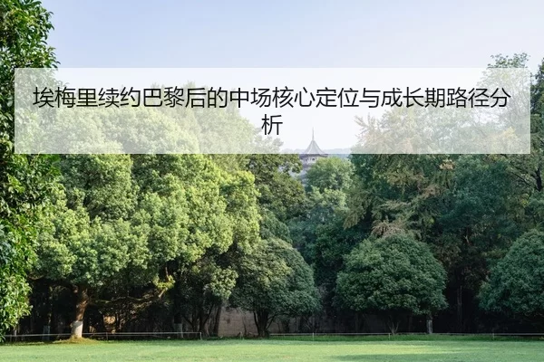 ai-mei-li-xu-yue-ba-li-hou-de-zhong-chang-he-xin-ding-wei-yu-cheng-zhang-qi-lu-jing-fen-xi-2-562.jpg
