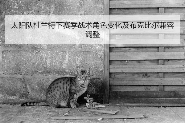 太阳队杜兰特下赛季战术角色变化及布克比尔兼容调整