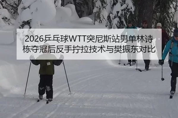 2026乒乓球WTT突尼斯站男单林诗栋夺冠后反手拧拉技术与樊振东对比